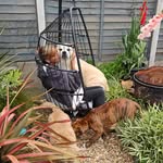 Annie Bobbington Earle - @annisherrington - Instagram