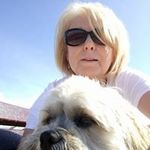 Anne Earley - @anne.earley.71 - Instagram