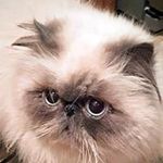 Anne Earley - @ann.earley - Instagram