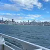 annie - @annieearley - TikTok
