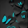 Anita🥵🦋 - @annie_feddy - TikTok