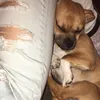 annieeddyy - @annieeddyy - TikTok