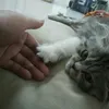 eddy annie - @eddy.annie - TikTok