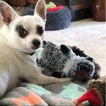 Annie Edmonds Skerchek - @aedmonds315 - Instagram