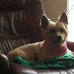 Annie Egan - @skychikwi - Instagram