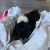 annie.egan - @annie.egan.2x - TikTok