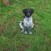 Anne Dulany Eliason - Facebook