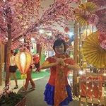 Annie Eng Hwa - @annieenghwa - Instagram