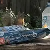 Annie Erickson - @annie.erickson2 - TikTok