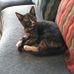 Annie Ernst - Facebook