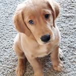 Annie Tyrannosaurus Ernst - @annienielsenernst - Instagram
