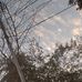 Einee Askary - Facebook