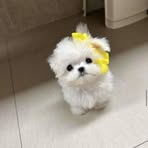 Annie Estes - Facebook