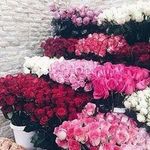 Annie Forster - @ersernidont1973 - Instagram