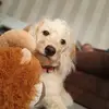 annieforster79 - @annieforster79 - TikTok