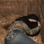 Annie Foster - Facebook