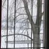 annie gallant - @annie.gallant5 - TikTok