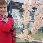 Annie Gibson - @anniegibson160 - Instagram