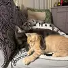 Anne Gilson - @anne.gilson7 - TikTok