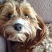 Annie Gregory - Facebook