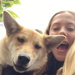 Anne hardeman - @annehardemanprive - Instagram