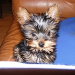 Annie, Harold HASSLER - @annie.harold.hassler - Instagram