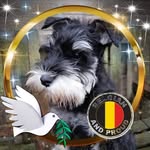 Annie Harold Vanlerberghe Veranneman - @haroldvanlerberghe - Instagram