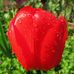 Anne Hauser - Facebook