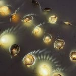 annie hauser - @nantucketscalloplights - Instagram