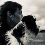Annie Hogg - @anniehogg_thewildhedgeinkco - Instagram