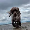 Anne Henderson396 - @annie_henderson70 - TikTok