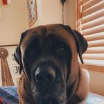 Anne Henderson - @_annie_henderson - Instagram