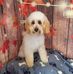 Anne Henderson - Facebook
