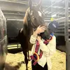 Annie Henderson - @asb.annie - TikTok