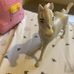 Annie Henderson - Facebook
