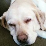Annie herrmann - @annieherrmann520 - Instagram