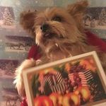 Annie Hicks - @anniehicks1942 - Instagram