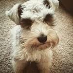 Annette Higbee - @annettehigbee - Instagram