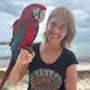 AnnieHigbeeAuthor - @hummingbirdnarwhal - TikTok