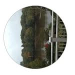 Anne Highsmith - @riverview5953 - Instagram