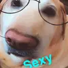 anniehoffy - @annie12.0 - TikTok
