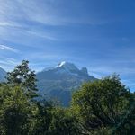 anne hoffer - @anne_hfr - Instagram