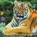 Annie Hogan - Facebook