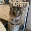 Annie - @_annie.holder_ - TikTok