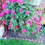 Annie Holder - @annie.holder.7777 - Instagram