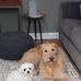 Annie Holman - Facebook