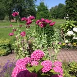 Annie Honen - @anniehonen - Instagram