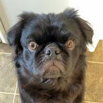 @annie.hooker - Instagram