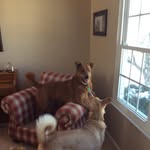 Annie Hooks - @hooks3970 - Instagram