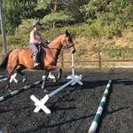 Anne Howden - @anne.howden - Instagram